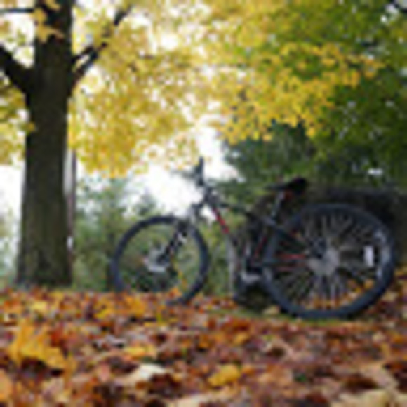 Meet your Posher, Gabriel g - Picture 1 of 1